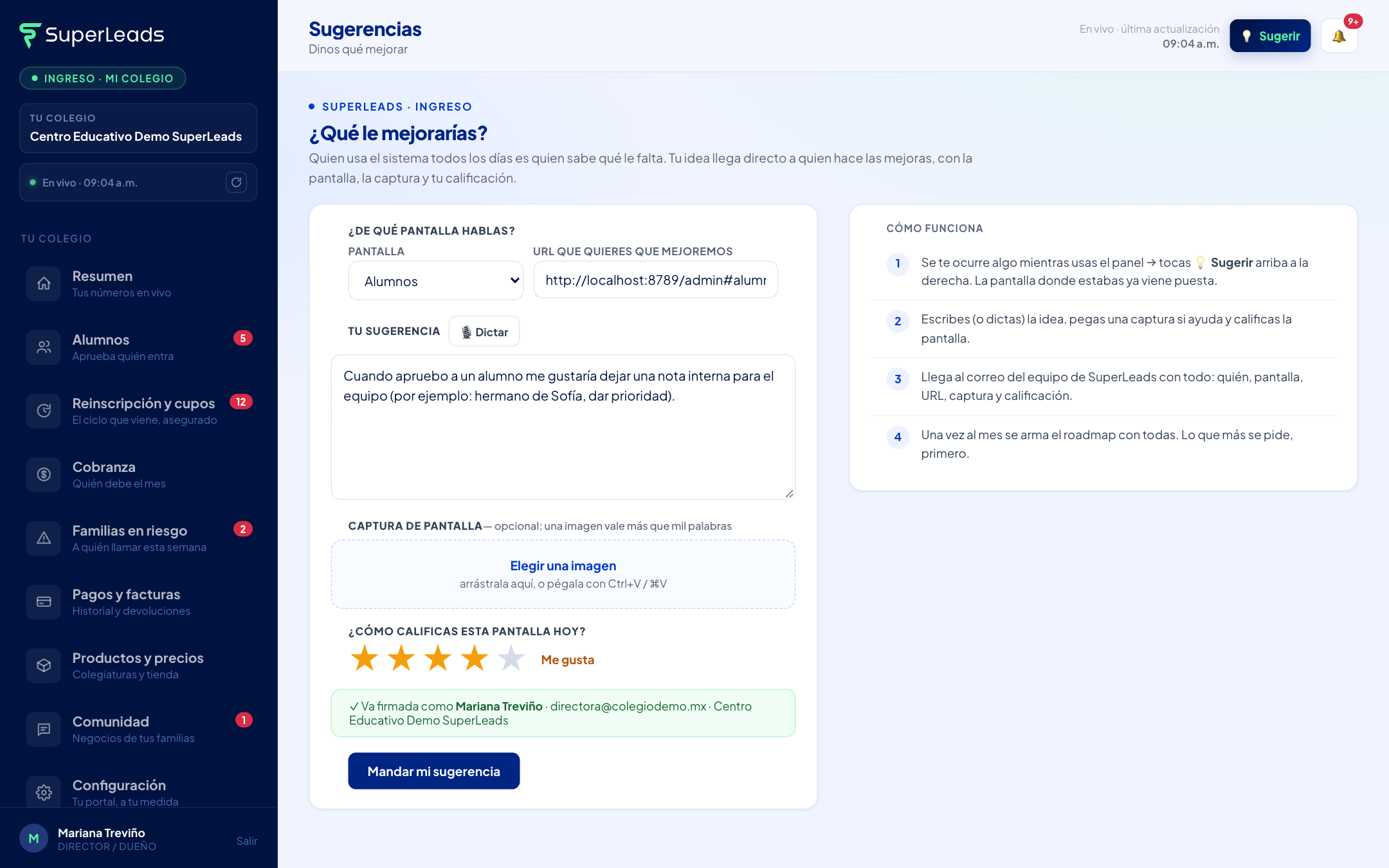 Sugerencias: pantalla, URL, idea, captura y calificación.